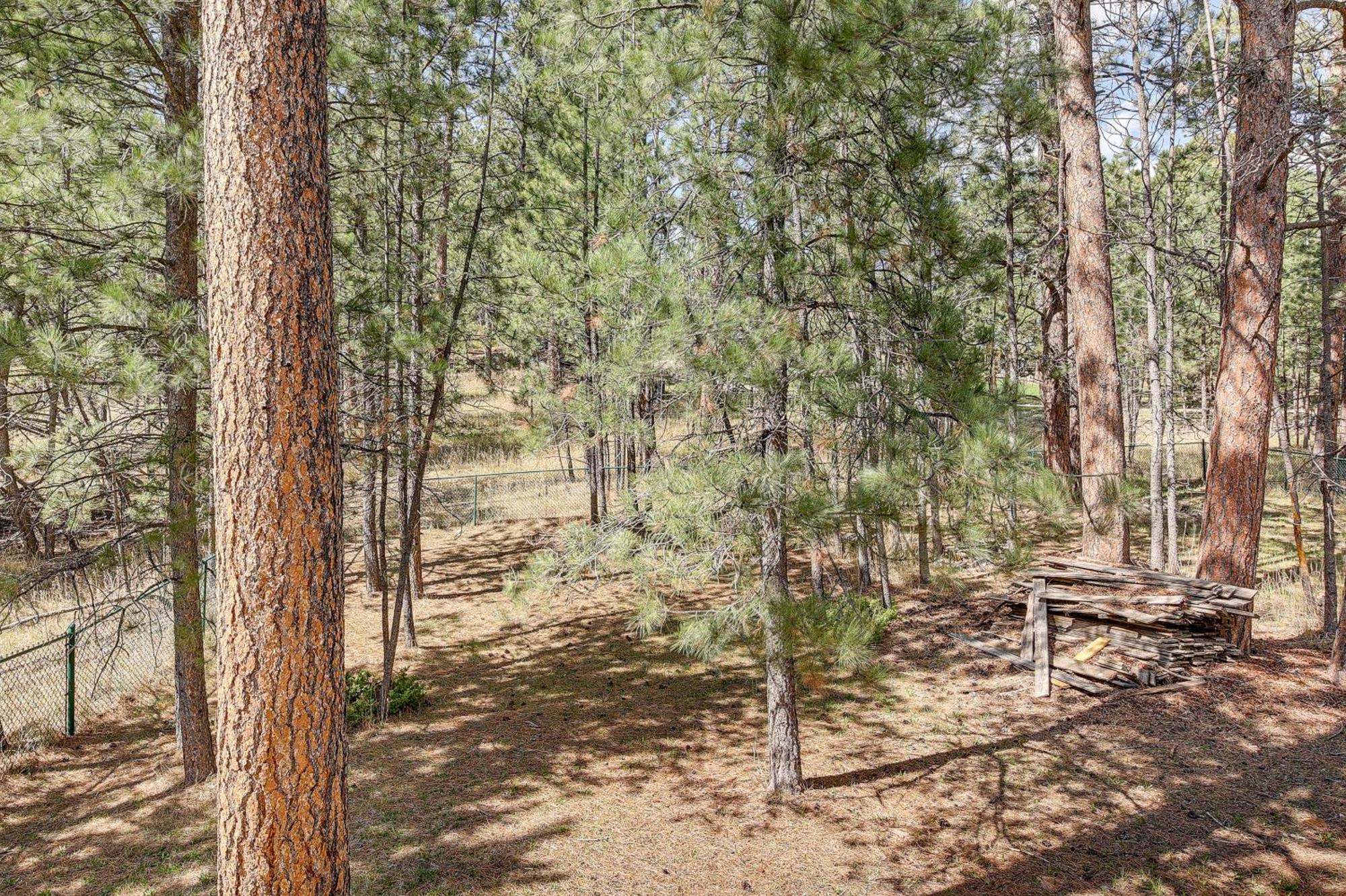 Private Black Hills Home With Corral Horses Welcome Custer Bagian luar foto